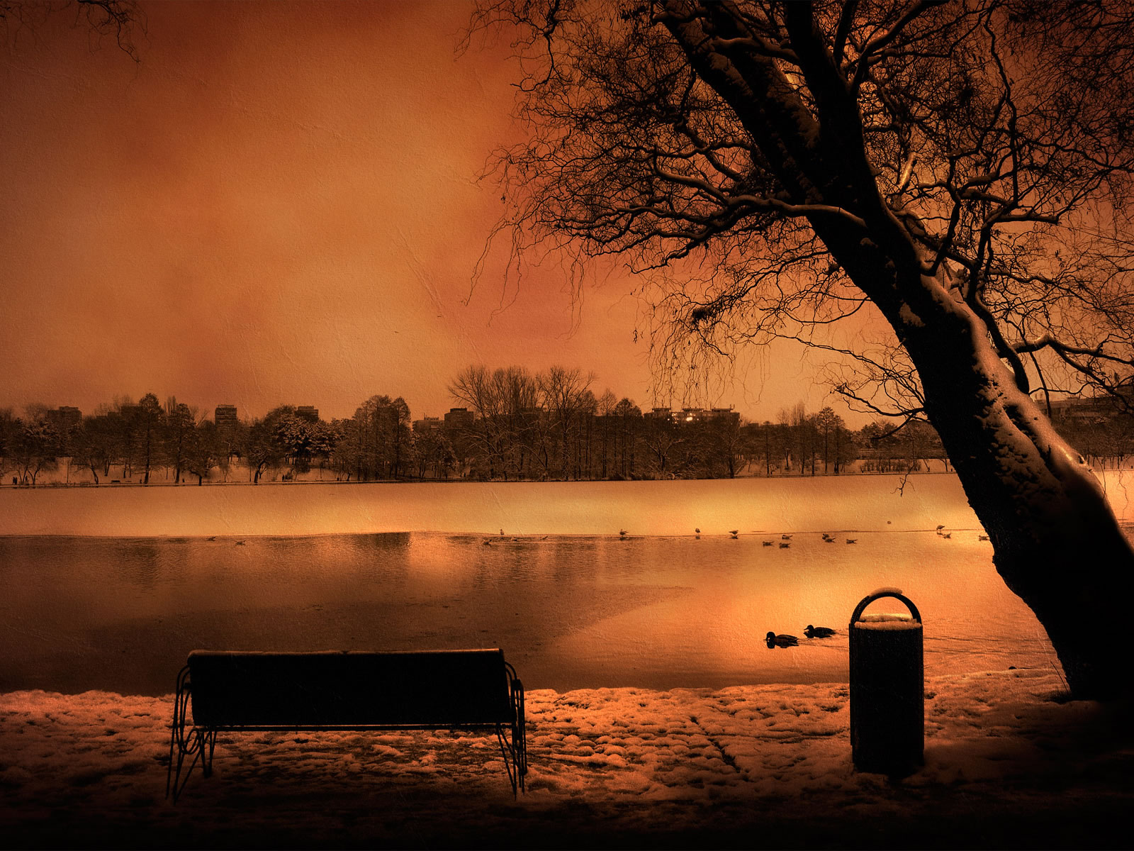 twitter-arkaplan-221