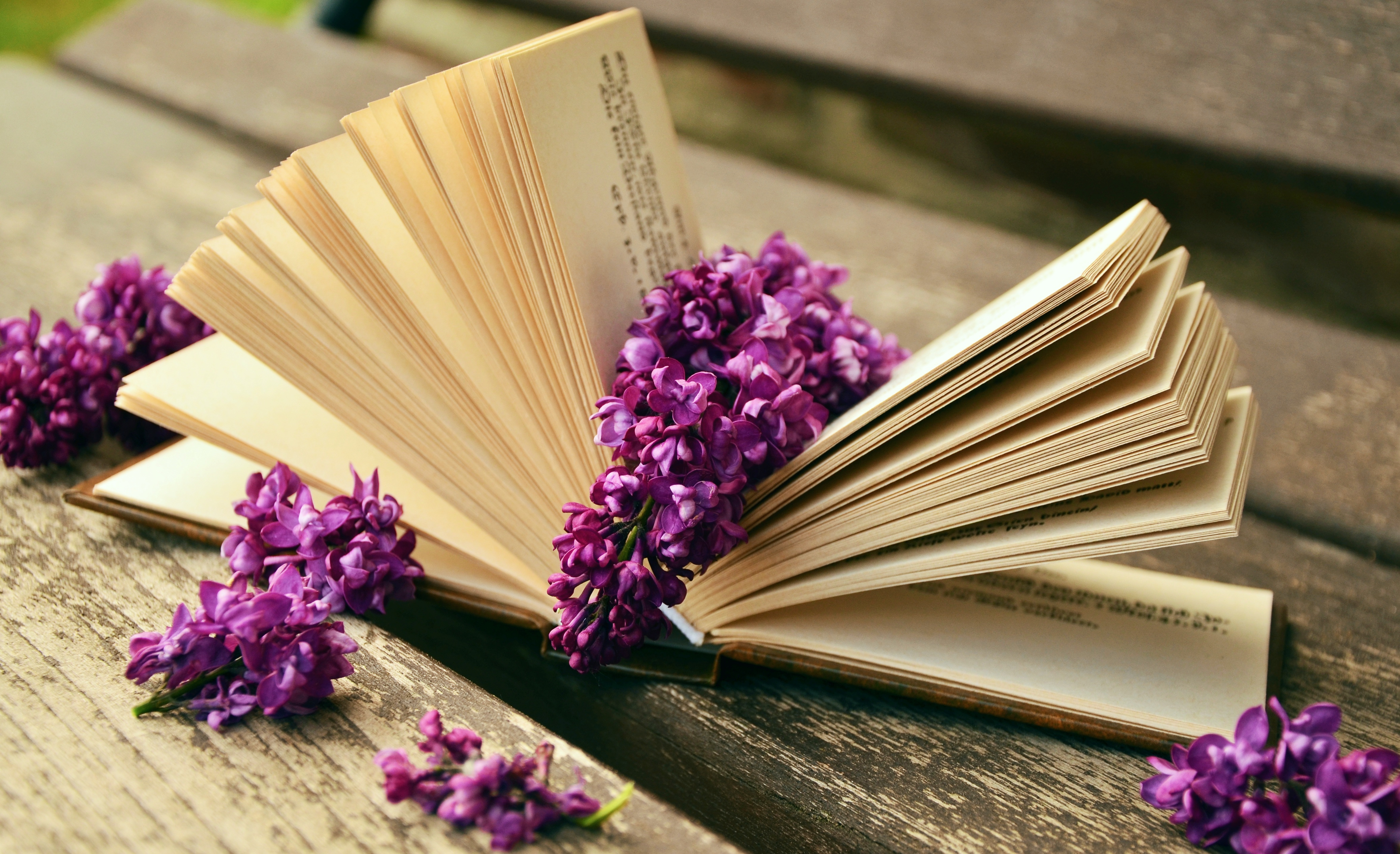 Canva - White Open Book Page