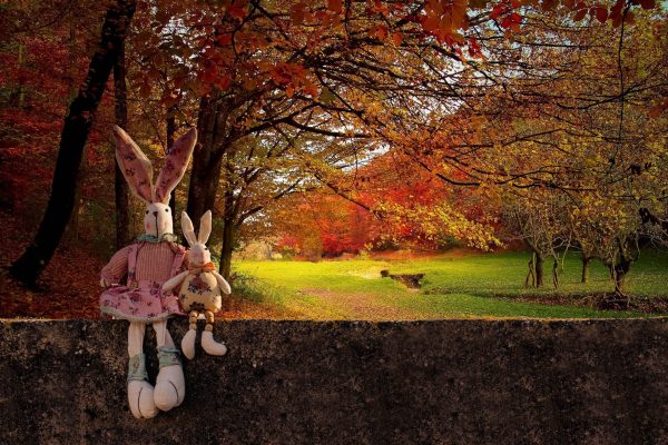 Canva - Rabbit Toys in The Forest