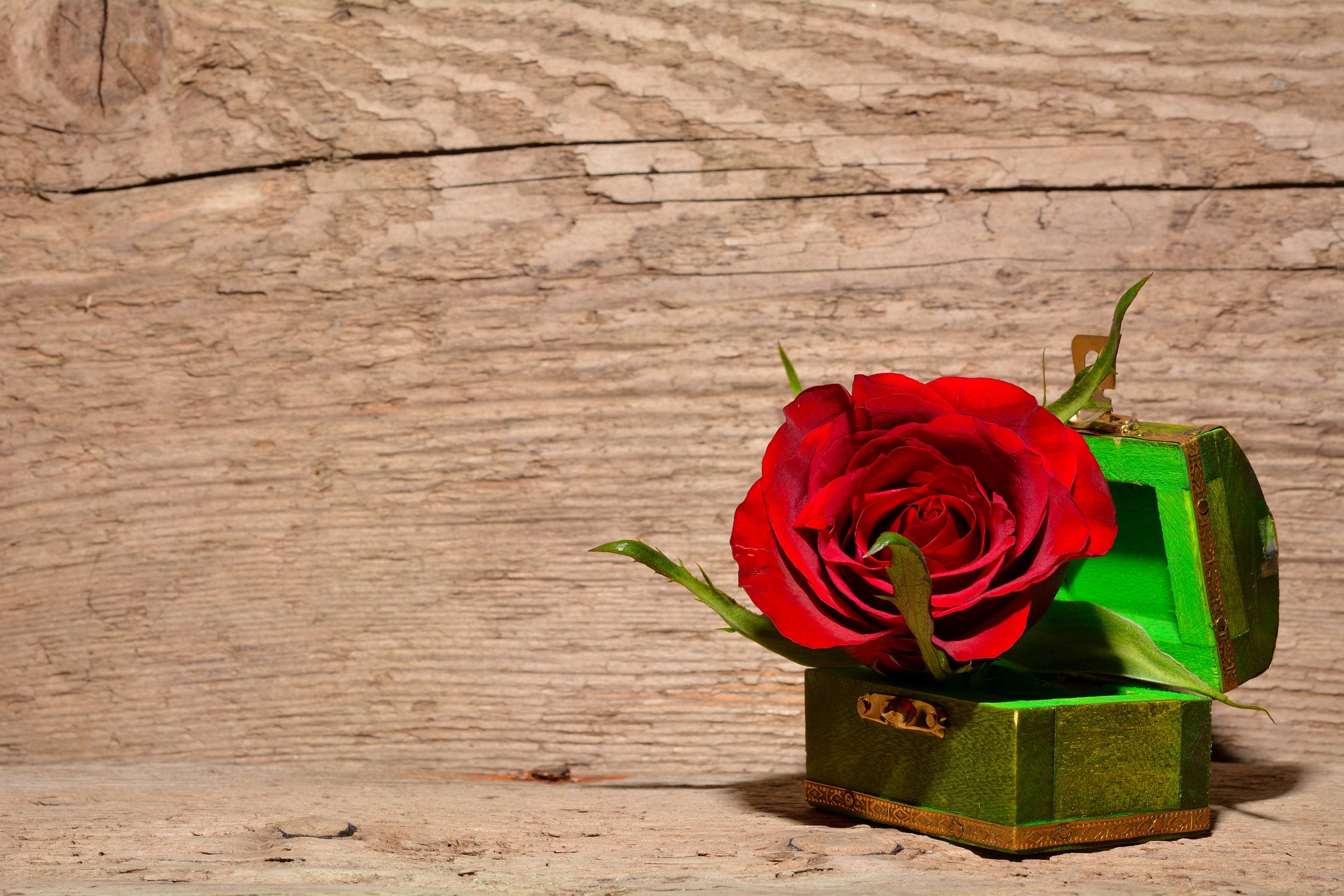 Canva - Red and Green Rose Inside Green and Brown Chest Box