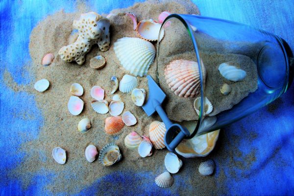 Canva - Seashells and Sand on Blue Canvas