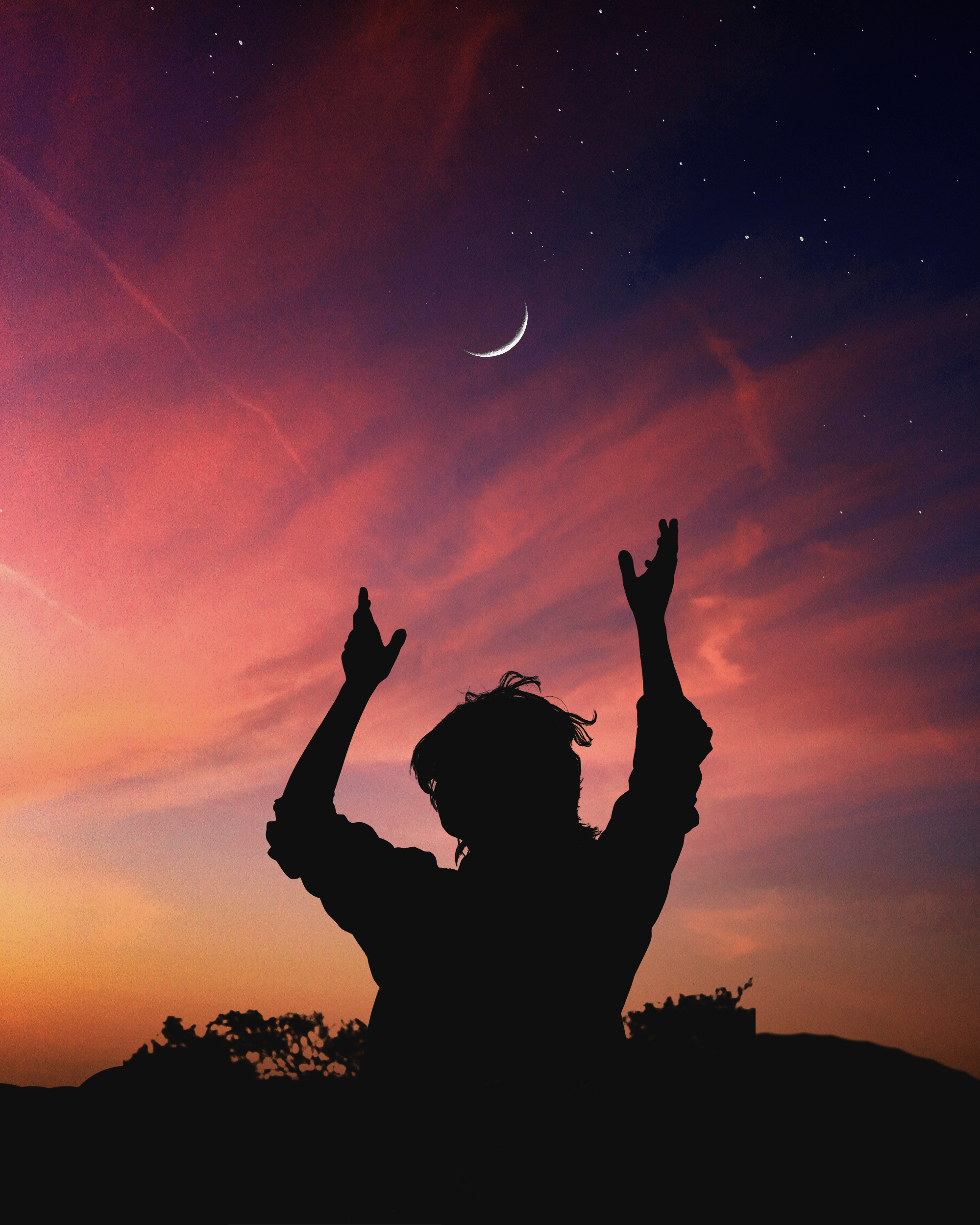 Canva - Silhouette of Person Raising His Hand