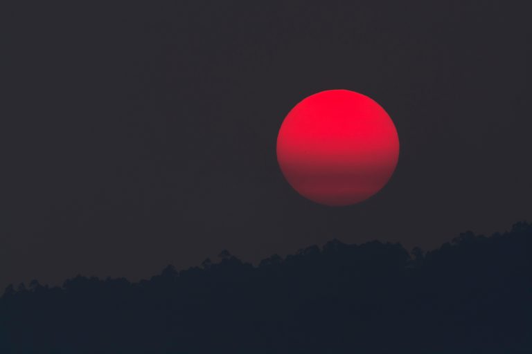 Canva - Red Moon during Night Time