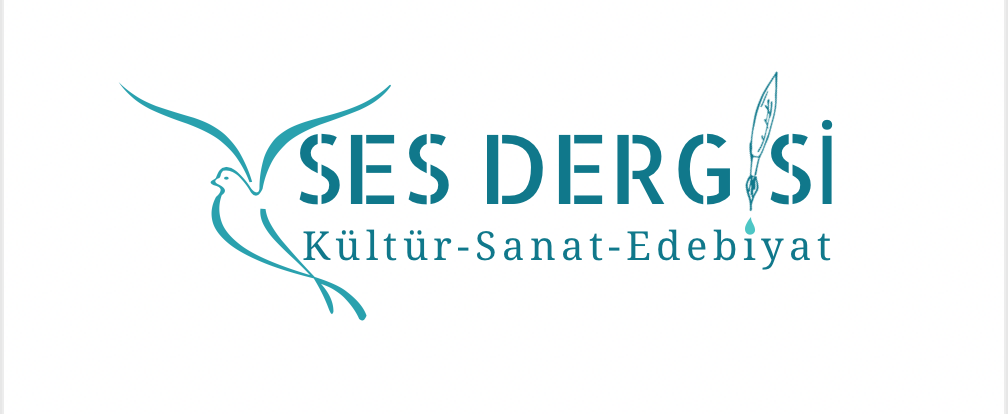 Screen Shot 2020-05-15 at 11.59.02 AM