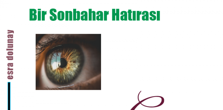 Screen Shot 2021-12-12 at 4.59.58 PM